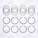 Anel (JG) - Citroen/Peugeot 1.6/1.8/1.9L  405, Berlingo, Xsara Gasolina