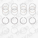 Anel JG Citroen/Peugeot 2.0L 16V EW10A/J4 307,407