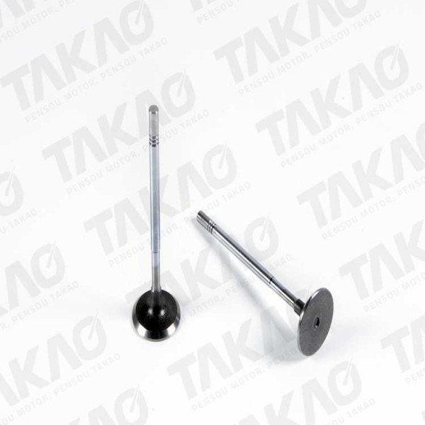Valvula de Admissão (cada) - Ford/Troller 3.0L 16V L4 motor MWM Power Stroker Troller