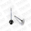 Valvula de Escape (cada) - GM/Nissan/Troller 2.8L 12V MWM Sprint Diesel