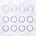 Anel (JG) - Renault 2.5L 16V DOHC Master DCI após 05 Diesel/Turbo
