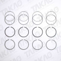 Anel (JG) - Isuzu 4.3L 8V SOHC 4HF1 Caminhao GMC 7.110 Diesel
