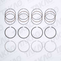 Anel (JG) - Honda 2.3L 16V F23A1/A4/A5 Accord  98 até 02 Gasolina