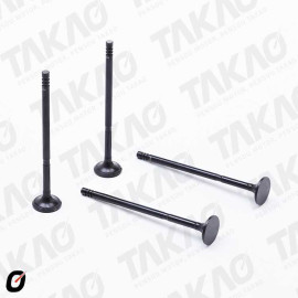 Valvula de Escape (c...