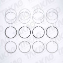 Anel (JG) - Kia 3.0L 8V SOHC JTA Grand Besta Diesel