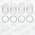 Anel (JG)-1.6L 16V DOHC Sigma Ecosport, Focus New Fiesta