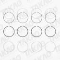 Anel JG Ford/Land Rover 2.4L 16V Duratorq Transit