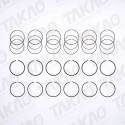Anel (JG) - Land Rover 3.2L 24V L6 DOHC Freelander 2 após 06 Gasolina